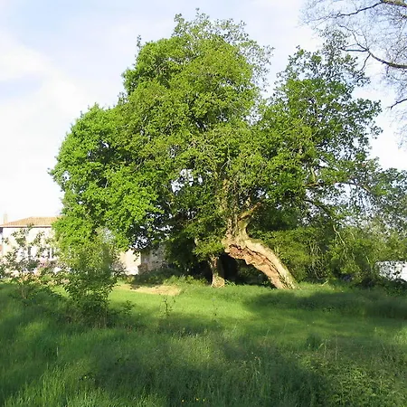 Nocleg ze śniadaniem Le Mouillage Vert La Mothe-Saint-Héray